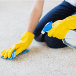 How Often to Deep Clean Carpet Flooring for a Healthy Home