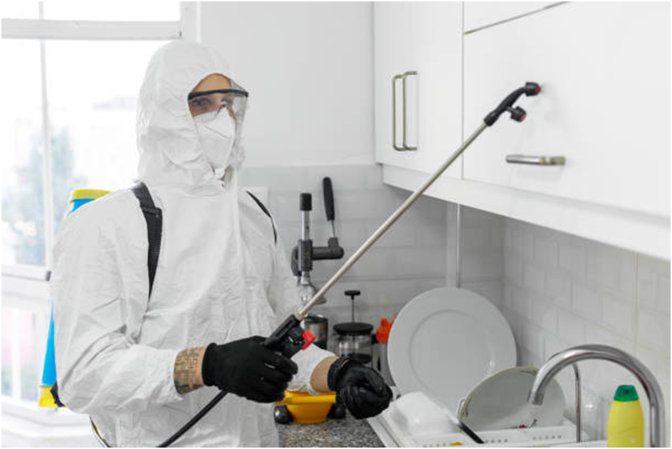 Comprehensive Pest Control: Fast & Reliable Service