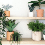 10 Creative Ways to Decorate Your Home with Artificial Plants