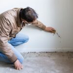 How to Detect Mold in Your Home Before It Becomes a Major Problem
